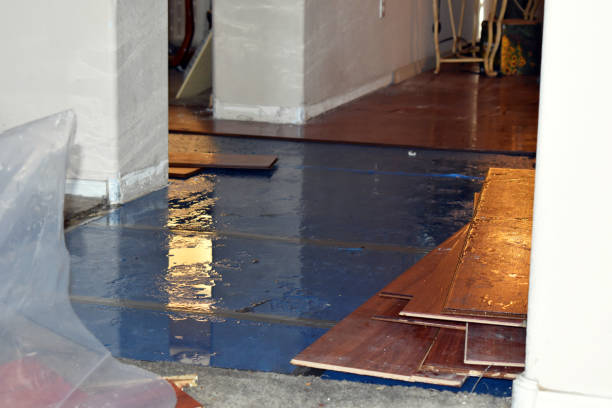 Professional Basement Flood Cleanup technician working in Brackenridge, PA